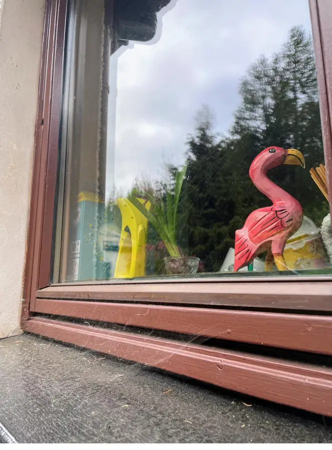A window frame and sill before cleaning, with cobwebs and dust